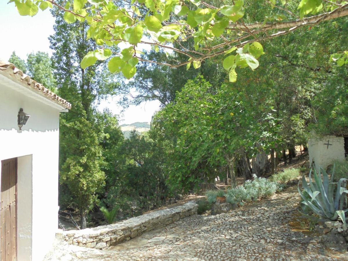 Villa El Pastor à Grazalema Extérieur photo
